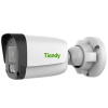 Купить уличная ip камера видеонаблюдения tiandy tc-c321n (2.8, 114°, 2мп, только poe, микрофон, детекция движения, грозозащита, ip67, макролон+металл, ик 30м в Калининграде, цена, сравнение характеристик, в наличии в магазинах ТД Безопасный Город